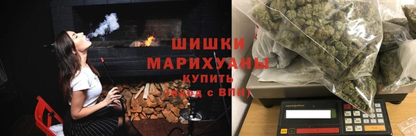 apvp Алзамай