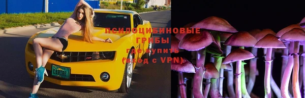 ALPHA PVP Алексин