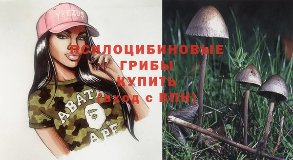 ALPHA PVP Алексин