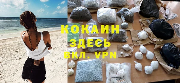 apvp Алзамай