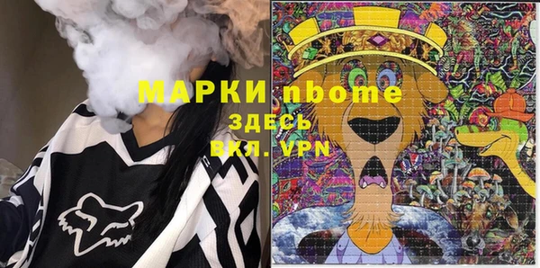 apvp Алзамай