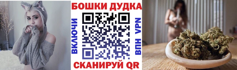 цены наркотик Апатиты mega зеркало Шишки марихуана семена